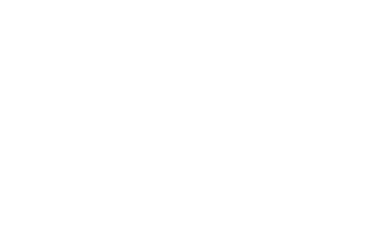 RC Pro Solutions