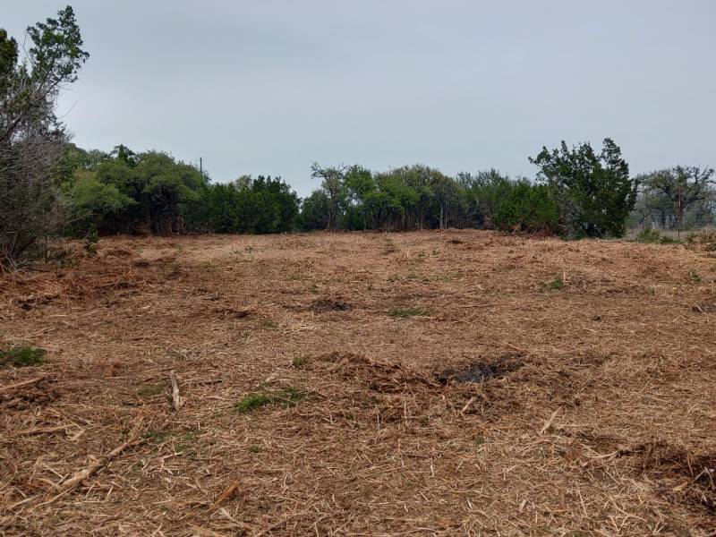 Landclearing 2-AFTER