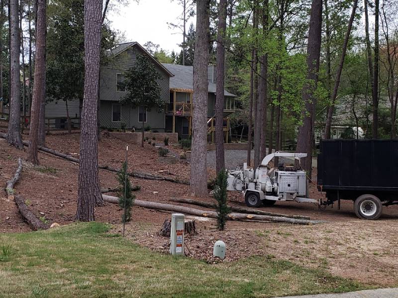 Landscaping Before