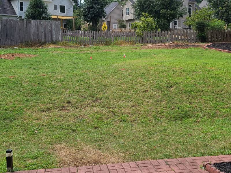 PatioWall Before