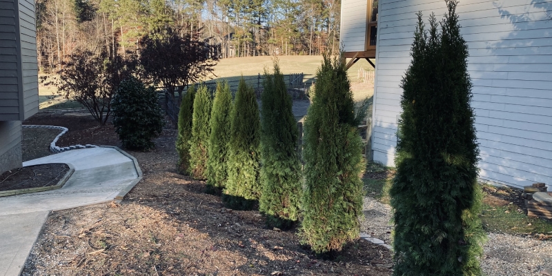 Landscaping, Kennesaw, GA